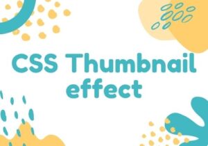 Read more about the article 20 CSS Thumbnail effect