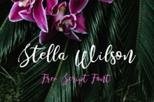 Read more about the article Stella Wilson – Free Font