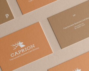 Read more about the article Free Vertical Business Card Mockup