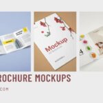 Free Brochure Mockups