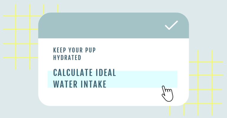 Dog Hydration: Use the Dog Water Intake Calculator